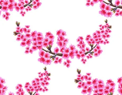 Sakura. Two branches with delicate lush purple flowers and cherry buds. Seaml Stock Illustration