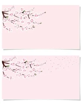 Sakura. Two postcards, Flyers, invitations. A branch of cherry with white flo Stock Illustration