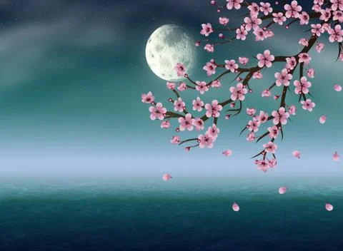 Sakura under the Moon Stock Illustration