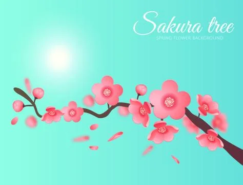 Sakura Vector flower branch element in the sky with sun. Elegant texture for Stock Illustration