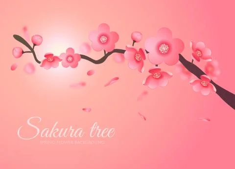Sakura Vector flower branch element in the sky with sun. Elegant texture for Stock Illustration