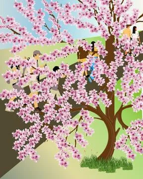 Sakura1 - 1 Illustration