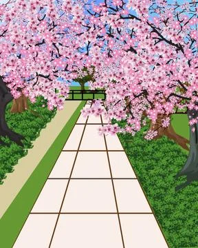Sakura1 - 3 Illustration