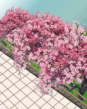 Sakura1 - 4 Illustration