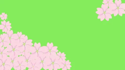 Sakurachroma Stock Footage 321299643
