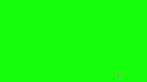 Sakurahanabiragreen Stock Footage 325409353
