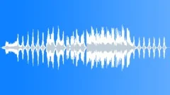 Salacia Stock Music