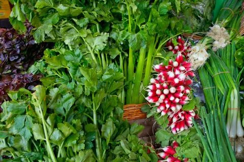 Salad and radish Stock Photos