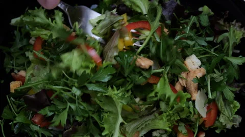Salad on a black plate Stock Footage 257841131