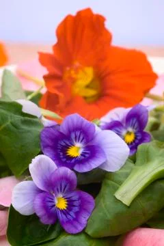 Salad with blossoms Stock Photos