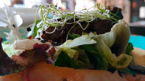 Salad with chicken liver Stock Footage 103853562
