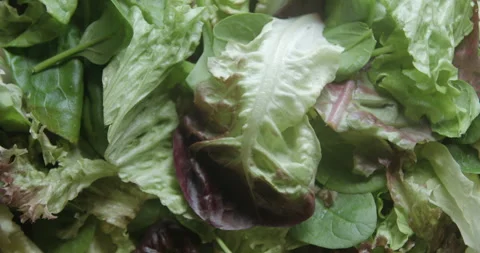 Salad close up studio shot over rotating Stock-Footage 324844448