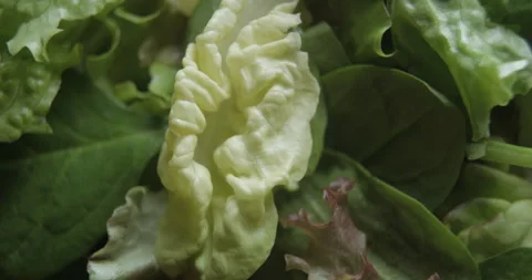 Salad close up studio shot over rotating Stock-Footage 324845248