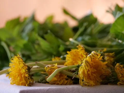 Salad from dandelions drying on a table Stock Photos