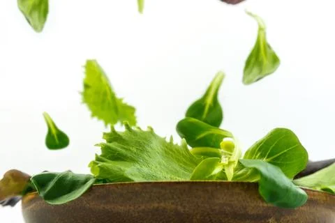 Salad explosion with arugula, beetroot, spinach and sprouts on bright wooden  Stock Photos
