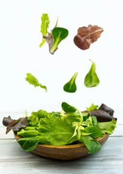 Salad explosion with arugula, beetroot, spinach and sprouts on bright wooden  Stock Photos