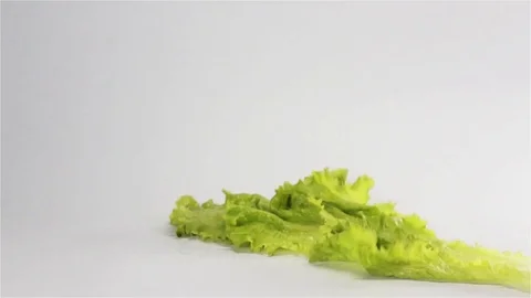 Salad fall on white surface Stock Footage 75230157