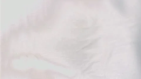 Salad falling into water in super slow motion Stock Footage