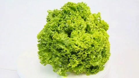 Salad Stock Footage 572388
