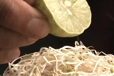 Salad Stock-Footage 1391846