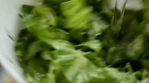 Salad Stock Footage 12659173