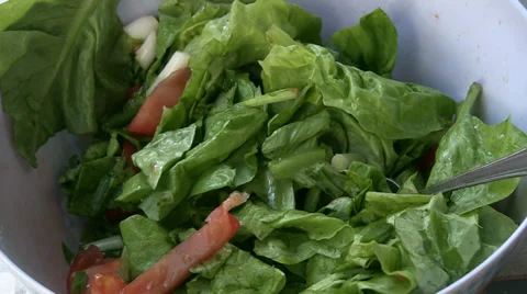 Salad Stock Footage 36525899