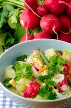 Salad of fresh vegetables Stock Photos