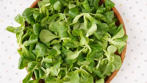 Salad greens in the basket. Video stock 247392013