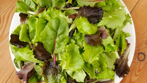 Salad greens on a plate. Stock Footage 297097666