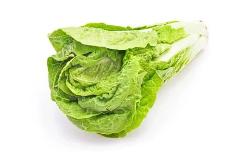 Salad head Foto stock