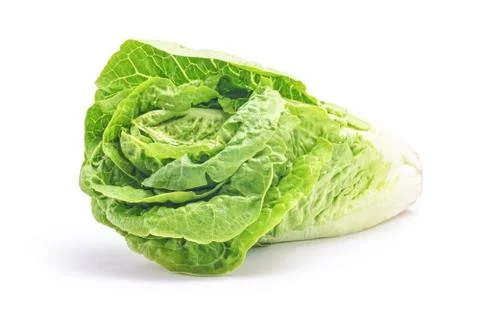 Salad head Stock Photos