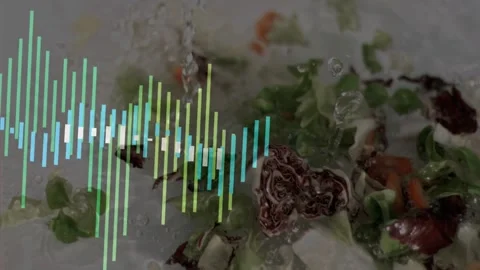 Salad on ice, audio bars appearing, pulsing, splashes rising, tomato landing, Stock Footage 328656672