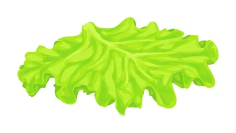 Salad icon animation Stock Footage 152561622