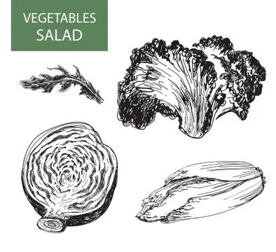 Salad Stock Illustration