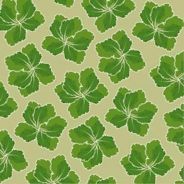 Salad Stock Illustration