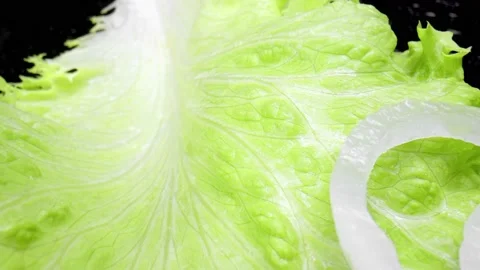 Salad Ingredient Stock Footage 219247349