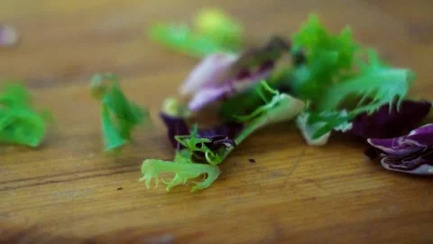Salad ingredients Stock Footage 131431428