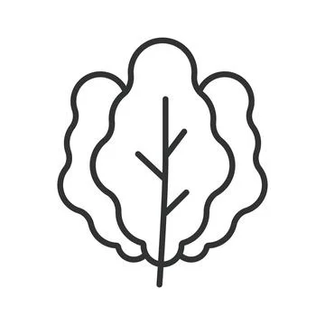 Salad leaf icon in line design. salad leaf vegetable food fresh organic healthy Stock Illustration