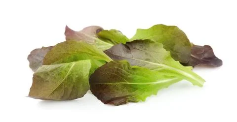 Salad leafs Stock Photos