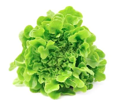 Salad leafs Stock Photos