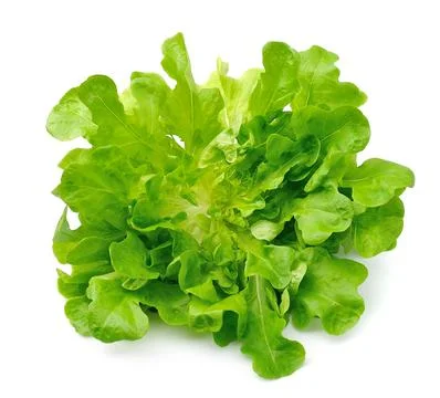Salad leafs Stock Photos