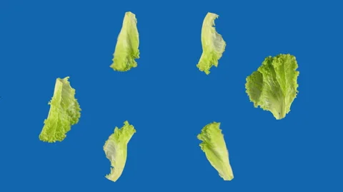 Salad leafs spinning in loop motion Stock Footage 141174932