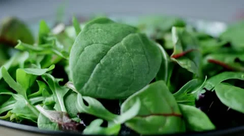 Salad Leaves Falling Video stock 10831465