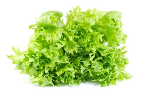 Salad leaves Stock Photos