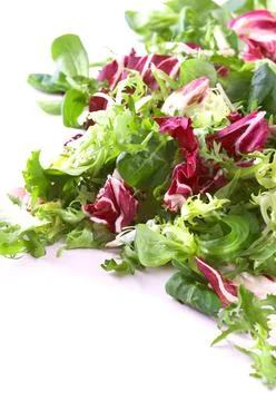 Salad Leaves Stock Photos