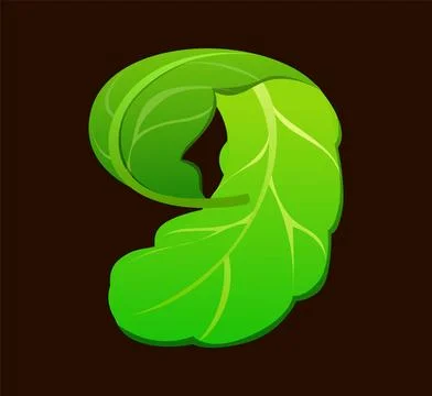 Salad lettuce number 9, breakfast font, food type Stock Illustration