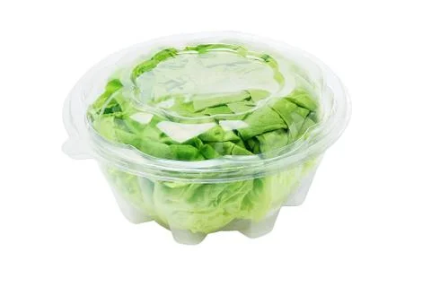 Salad lettuce Stock Photos