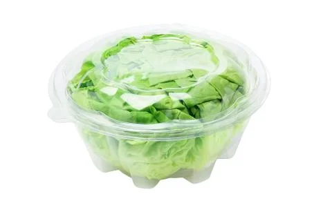 Salad lettuce Foto stock