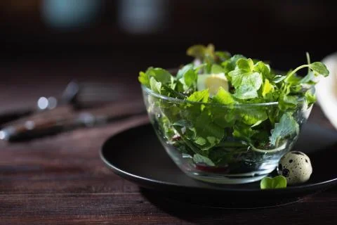 Salad with microgreens and vegetables oh the wooden table. Vegeterian dieting Stock Photos