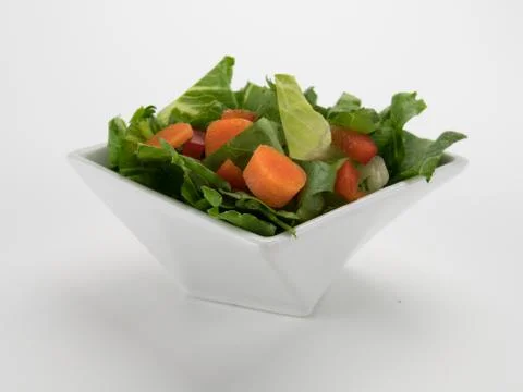 Salad no Dressing 库存照片